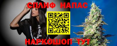 прущие грибы Северобайкальск
