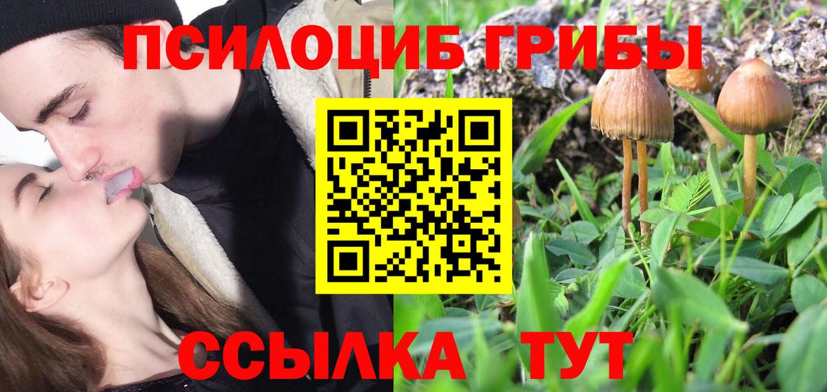 Псилоцибиновые грибы прущие грибы Новотроицк
