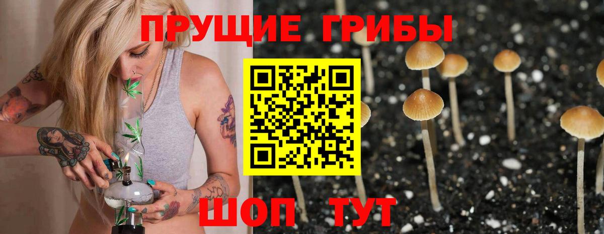 Галлюциногенные грибы Cubensis  Вход с VPN  Галлюциногенные грибы ЛСД  Новотроицк 
